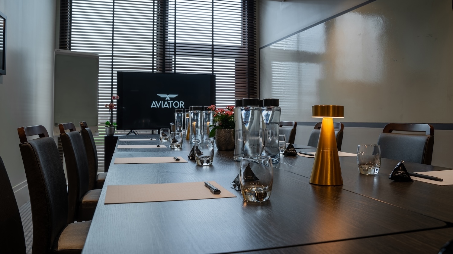 Photo of Aviator, Bleriot