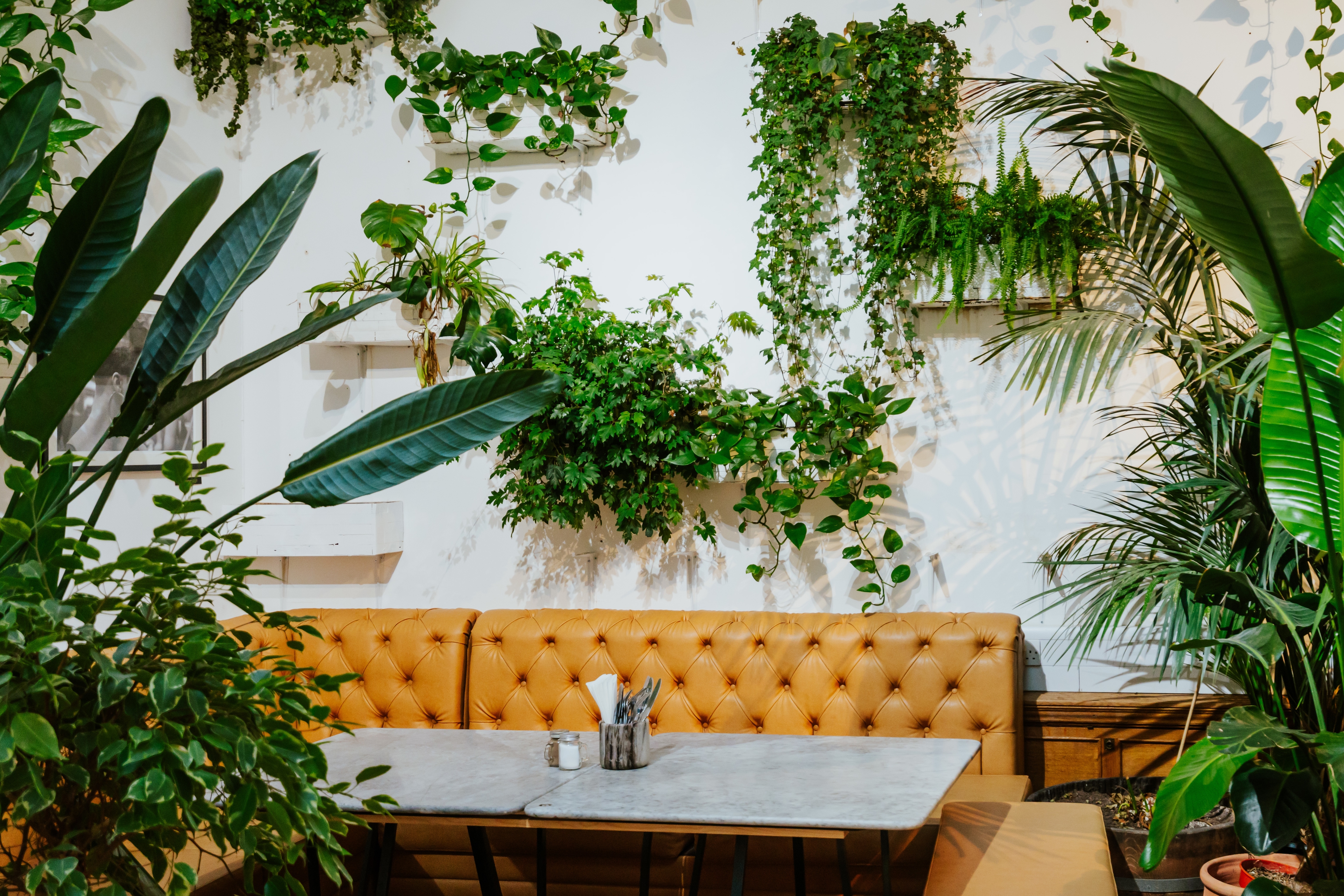 Photo of Medicine Restaurant & Gallery, Exclusive Hire