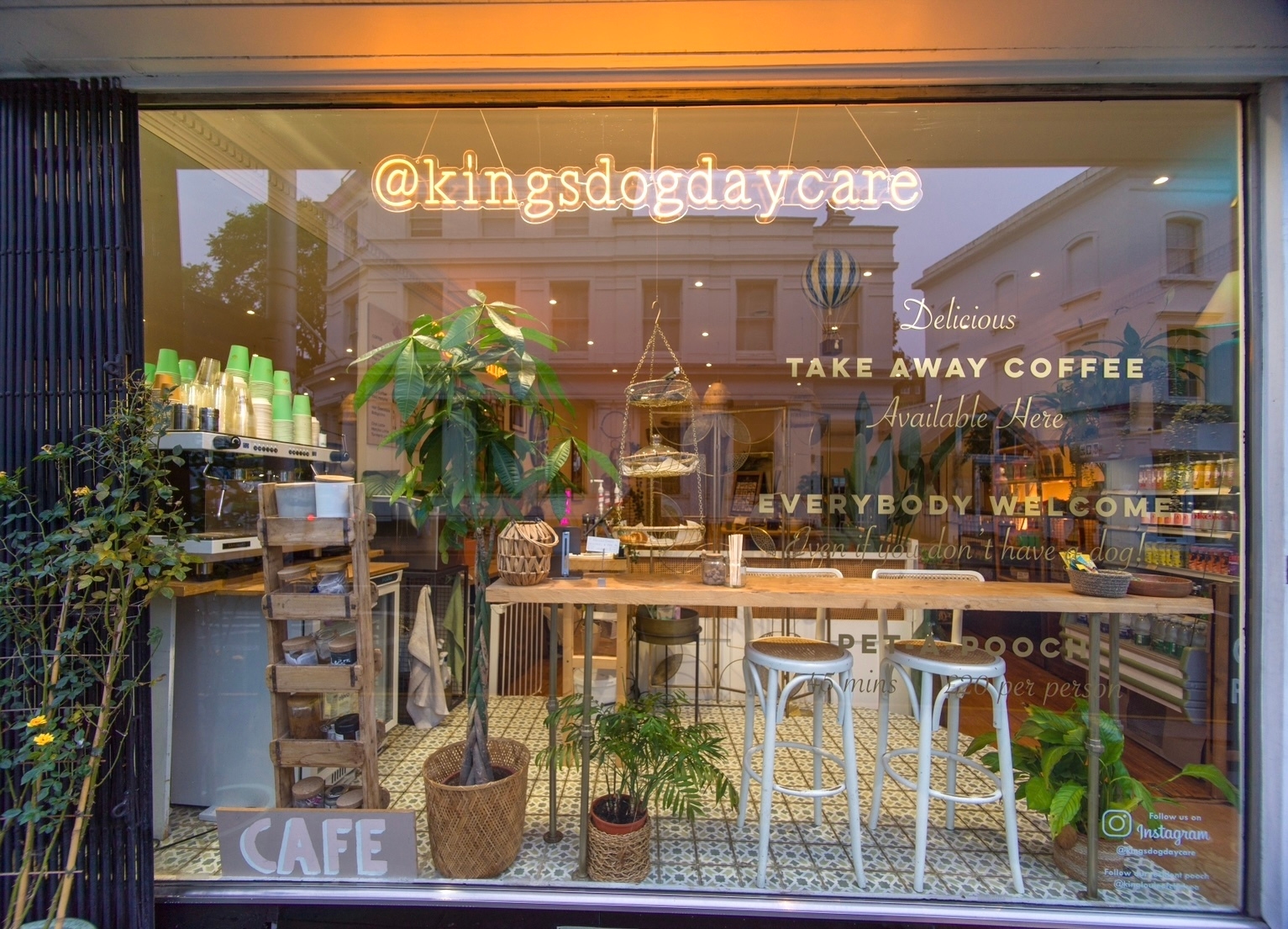 Photo of Kings Dog Daycare, Cafe Area
