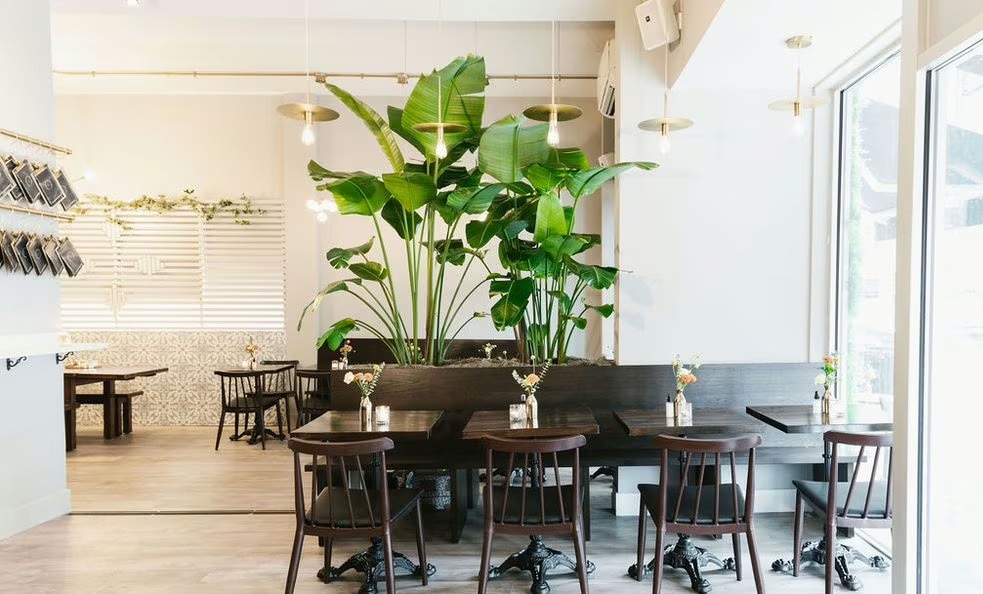 Photo of Festival Cafe NYC, Entire Venue