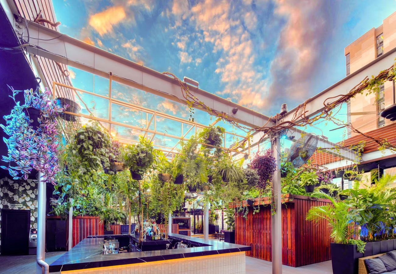 Photo of The DL, The Rooftop