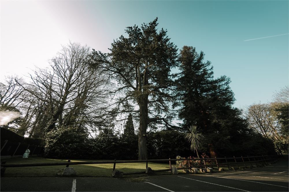 Photo of The Grange And Cavendish Country Houses, Exclusive Hire