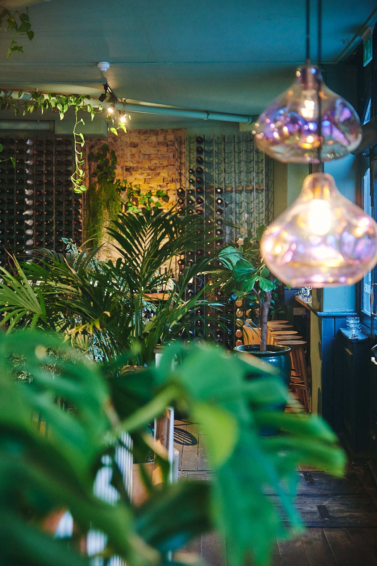 Photo of Diogenes The Dog