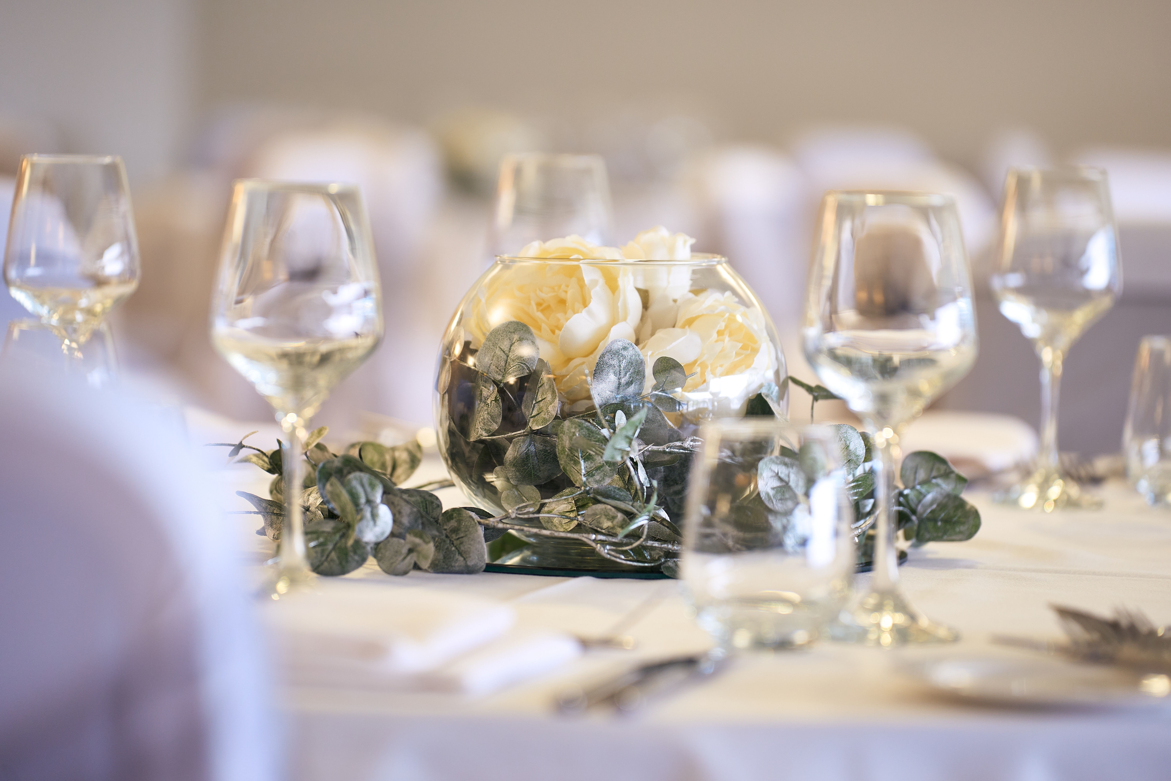 Photo of Accu Stadium, Terriers Together Suite