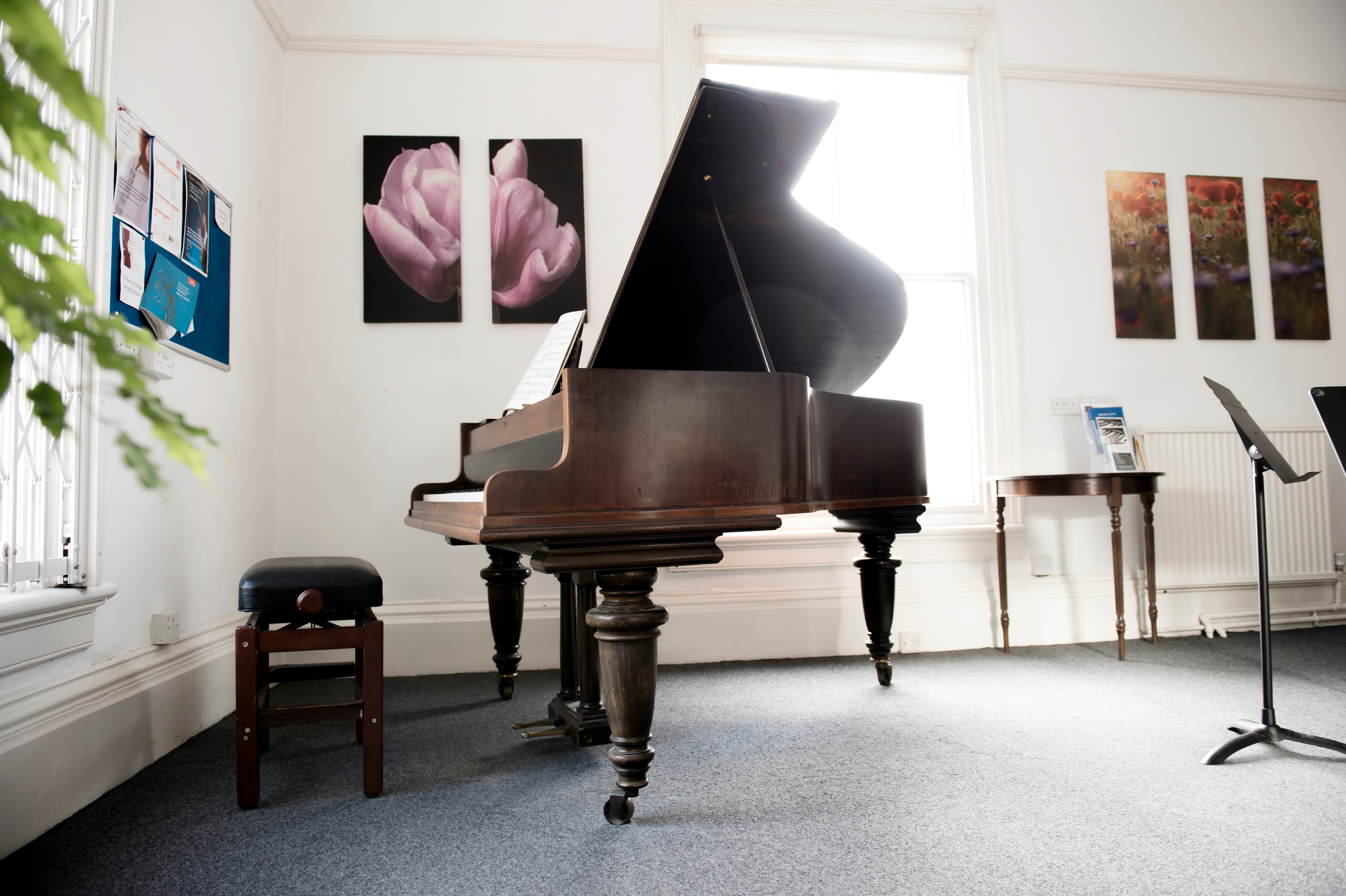 Photo of Music House, Allegro