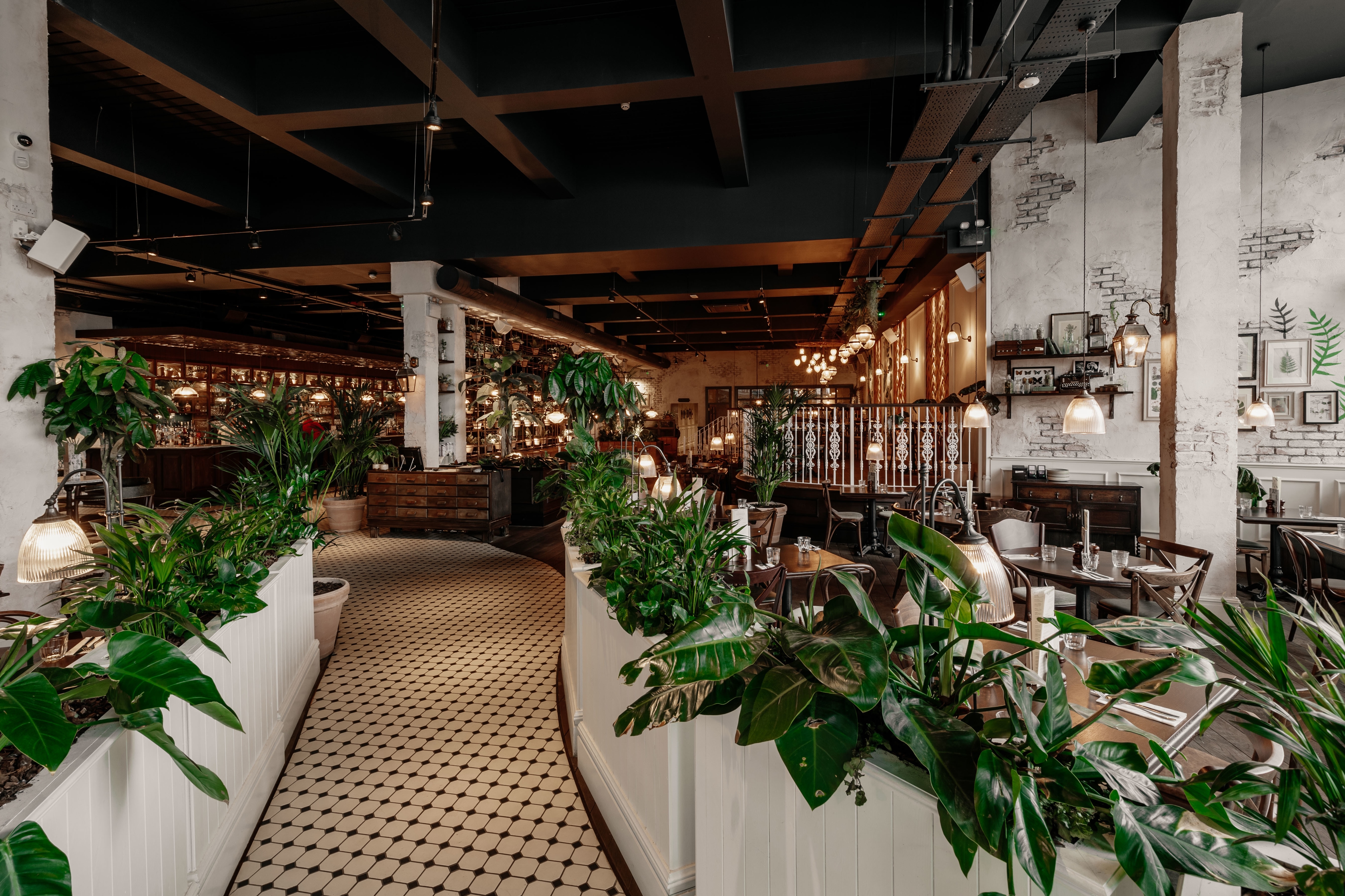 Photo of The Botanist Cheltenham, Whole Venue