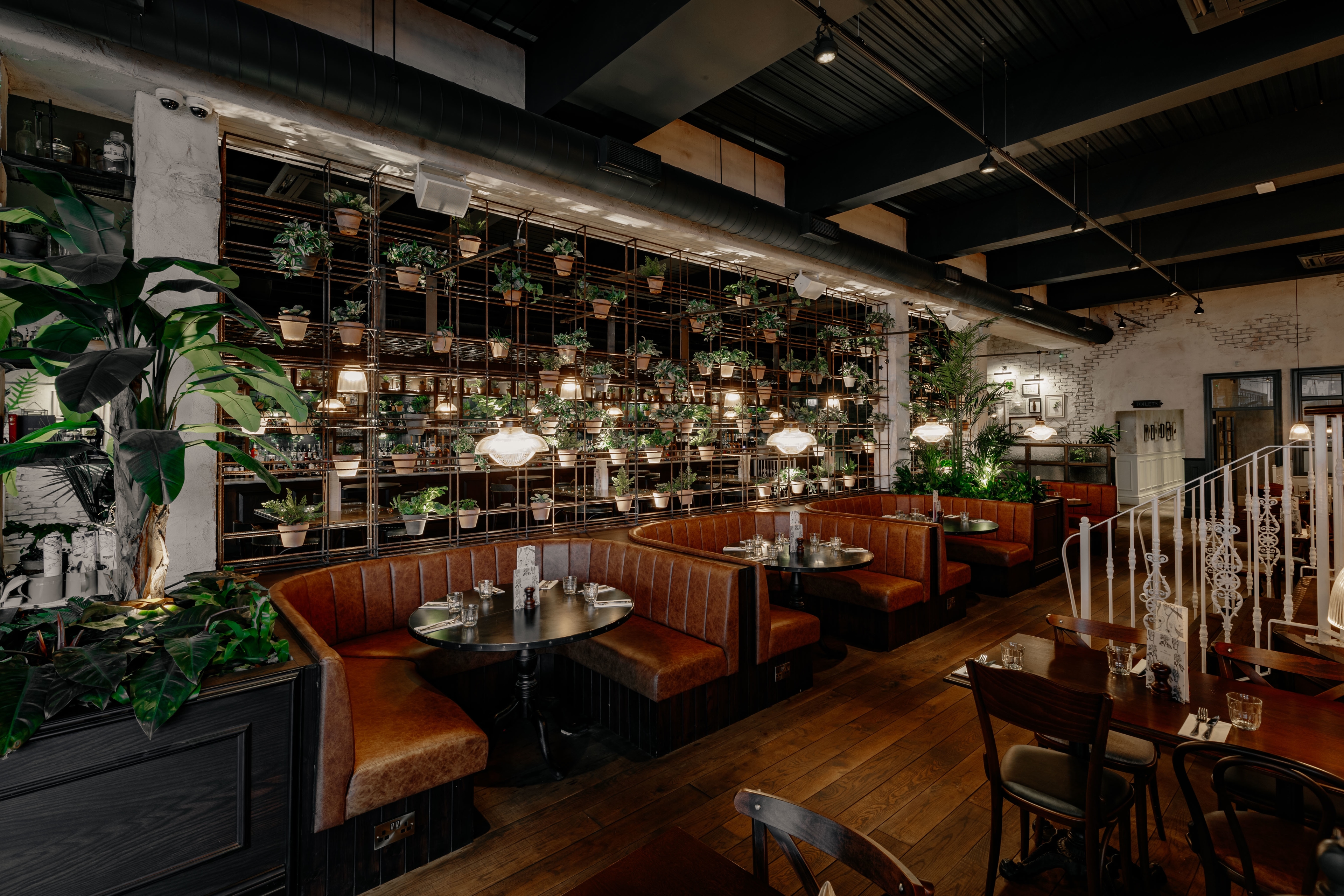 Photo of The Botanist Cheltenham, Whole Venue