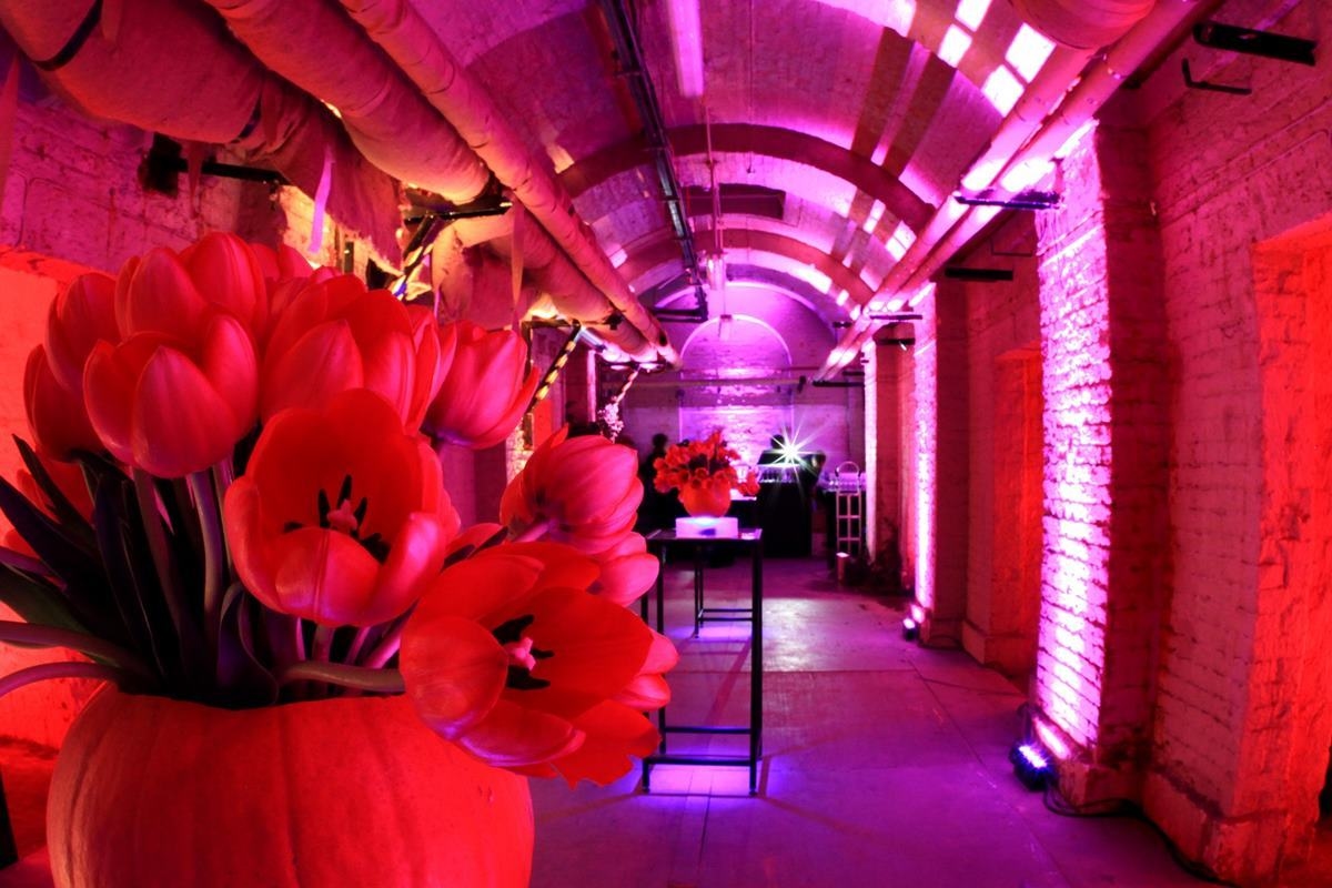 Photo of Somerset House, The Lightwells And Deadhouse