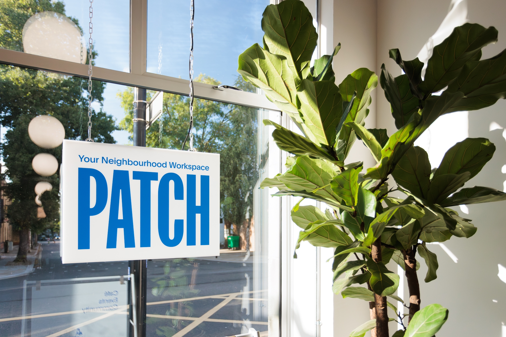 Photo of Patch Twickenham