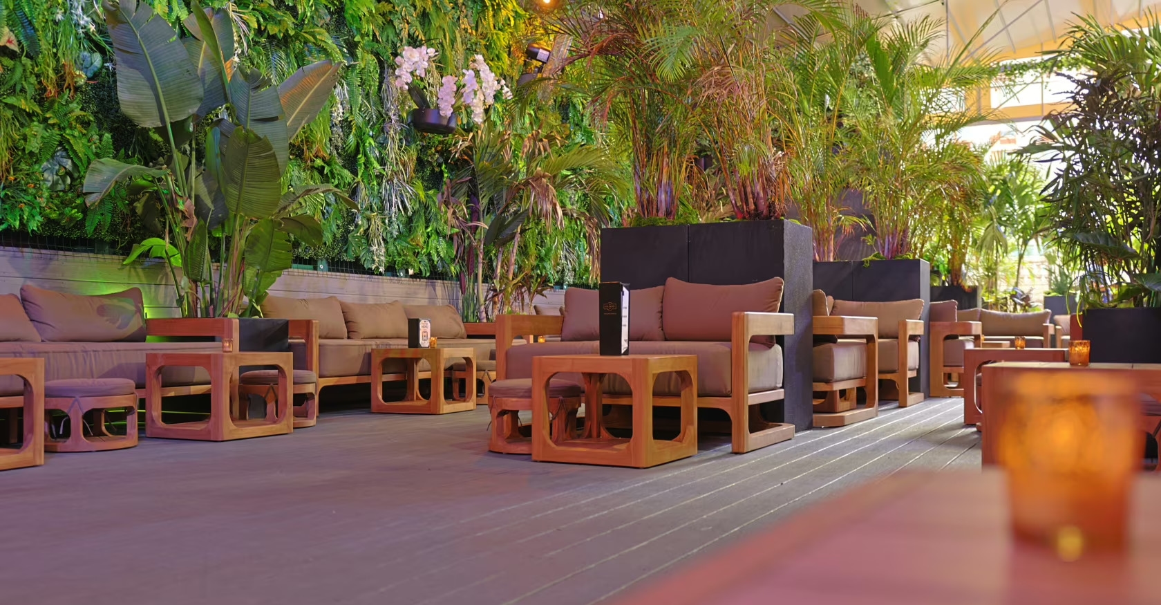 Photo of The Delancy, Rooftop