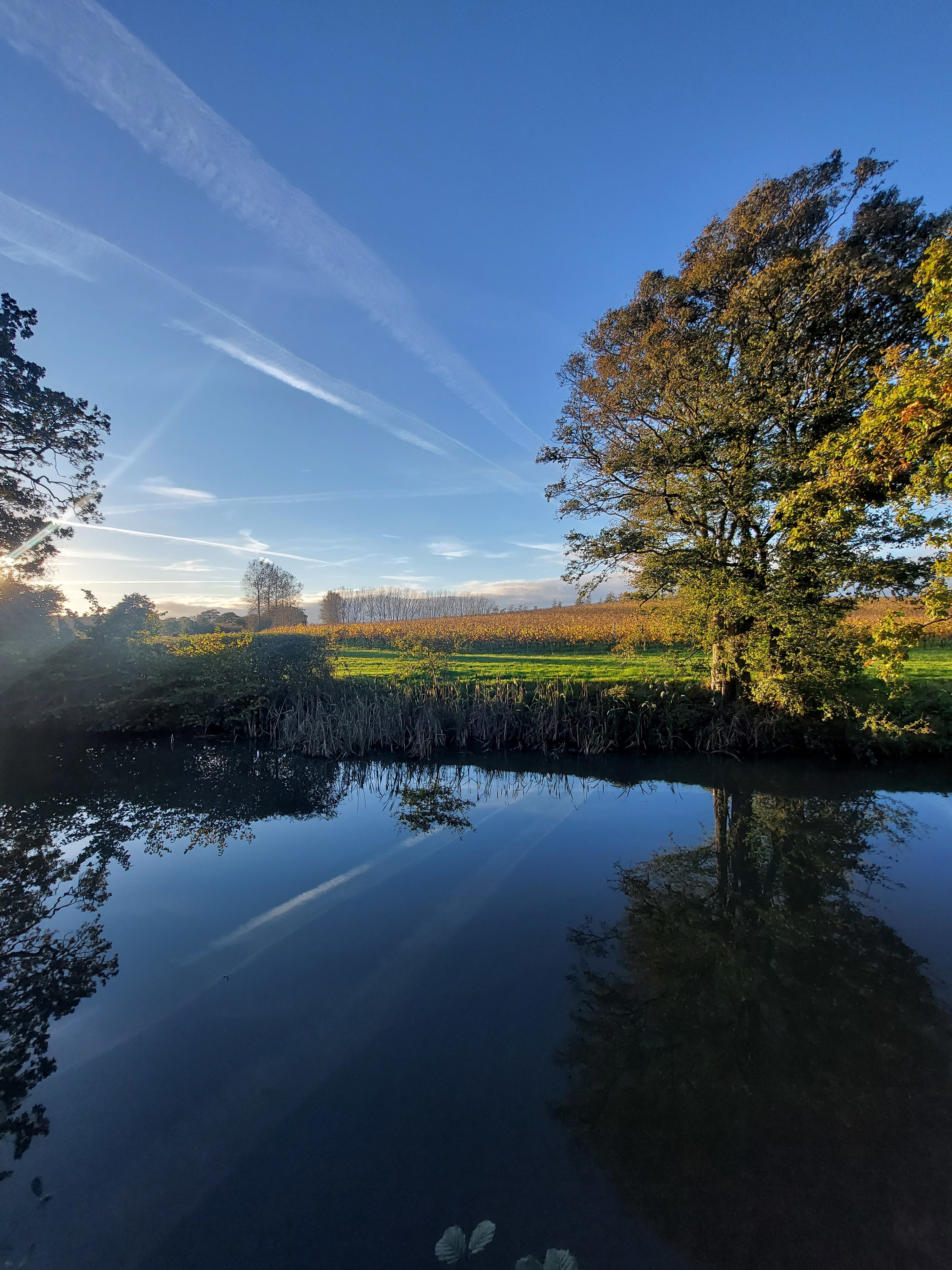 Photo of Albourne Estate, Exclusive Hire