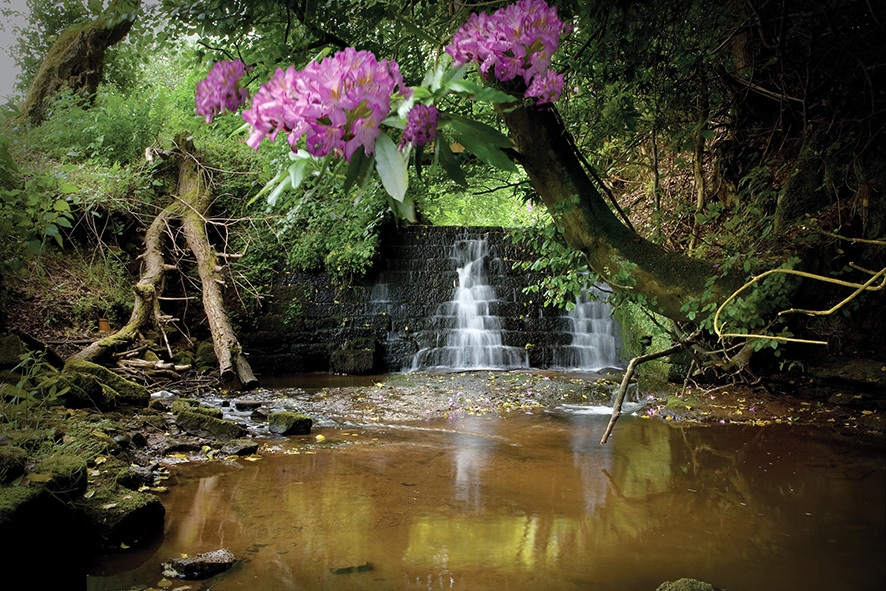 Photo of Kirklinton Hall & Gardens, Exclusive Hire