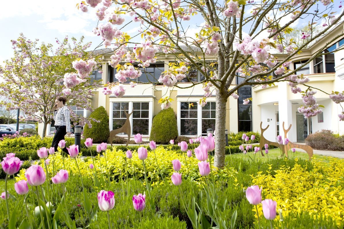 Photo of Citibase Reading, Garden Area (Event Space)