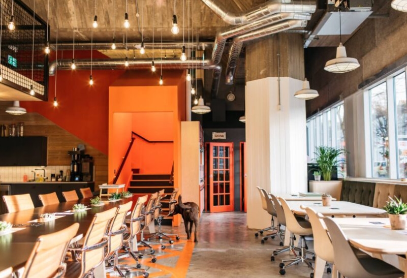 Photo of PLATF9RM, The Grounds