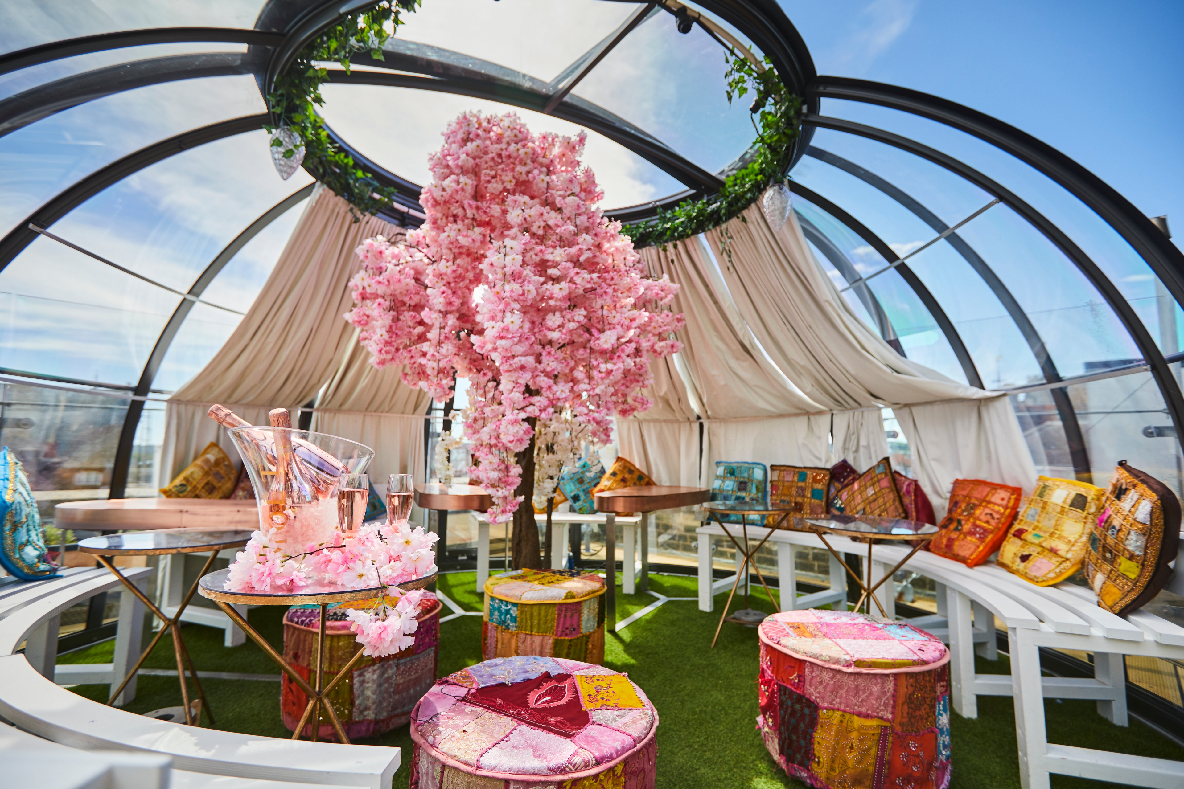 Photo of The Varsity Club