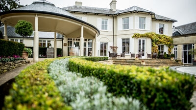 Photo of The Vineyard