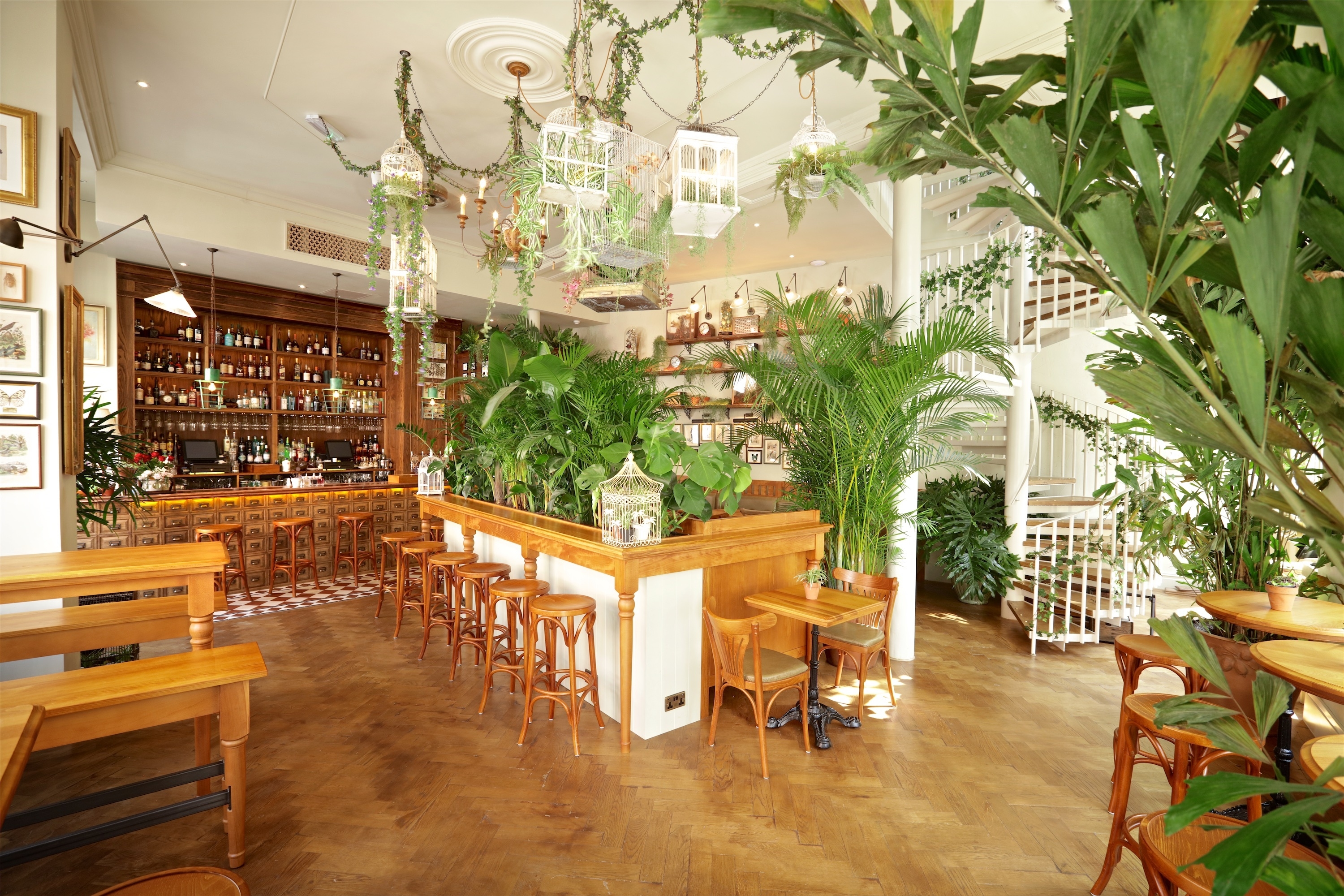 Photo of Mr Fogg's Botanical Tavern, House Of Botanicals
