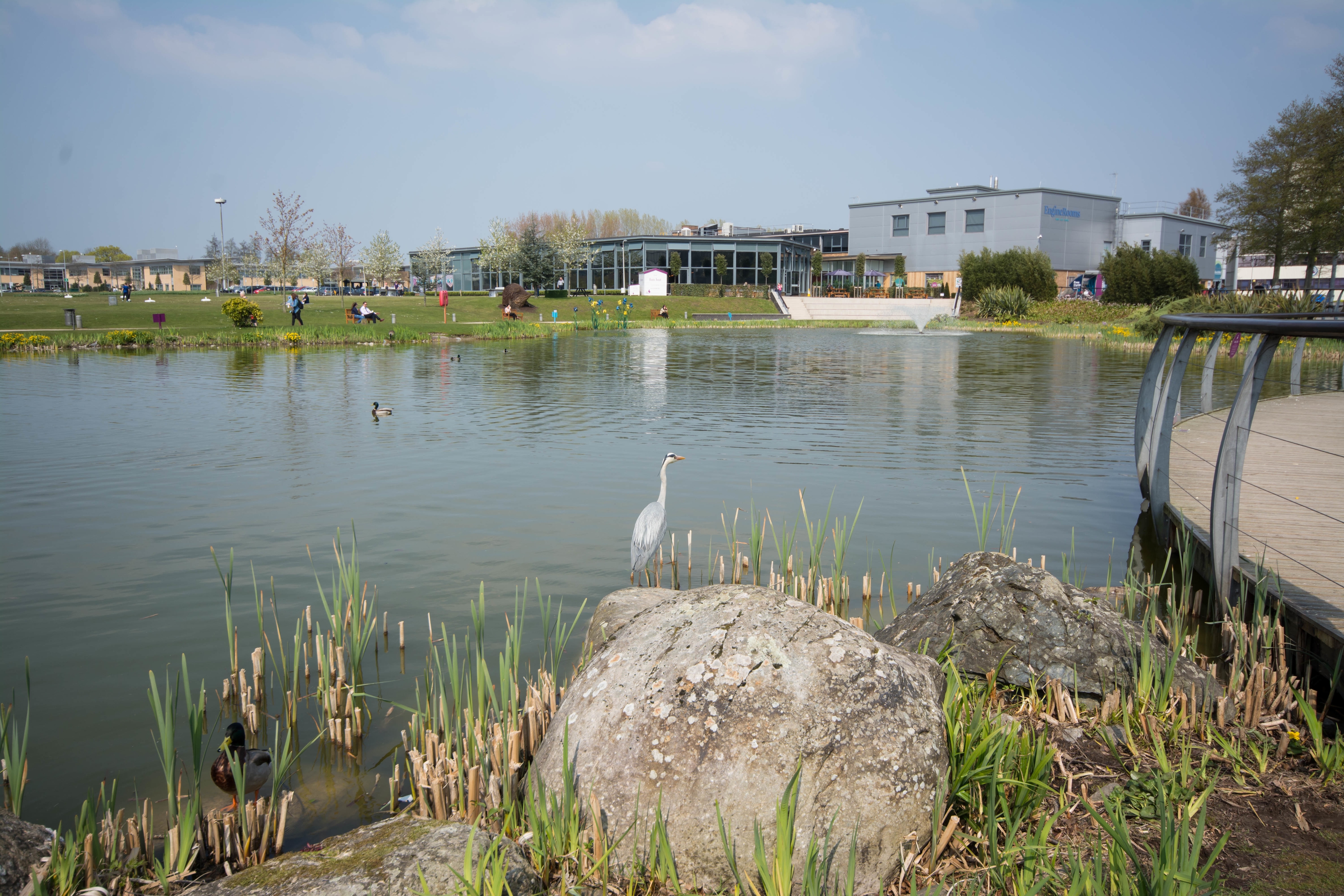 Photo of The Engine Rooms, The Chestnut Suite