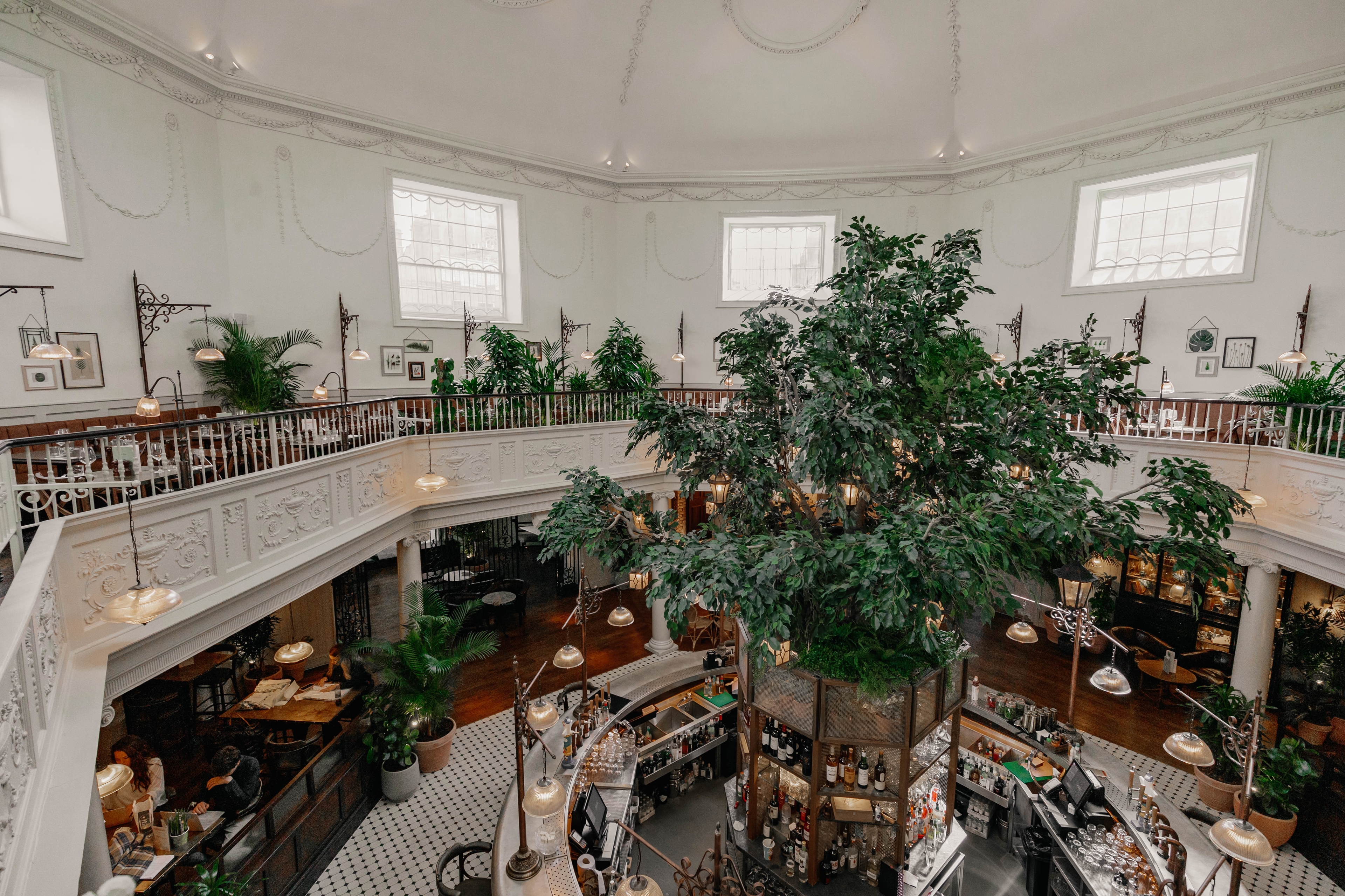 Photo of The Botanist Bath, Whole Venue