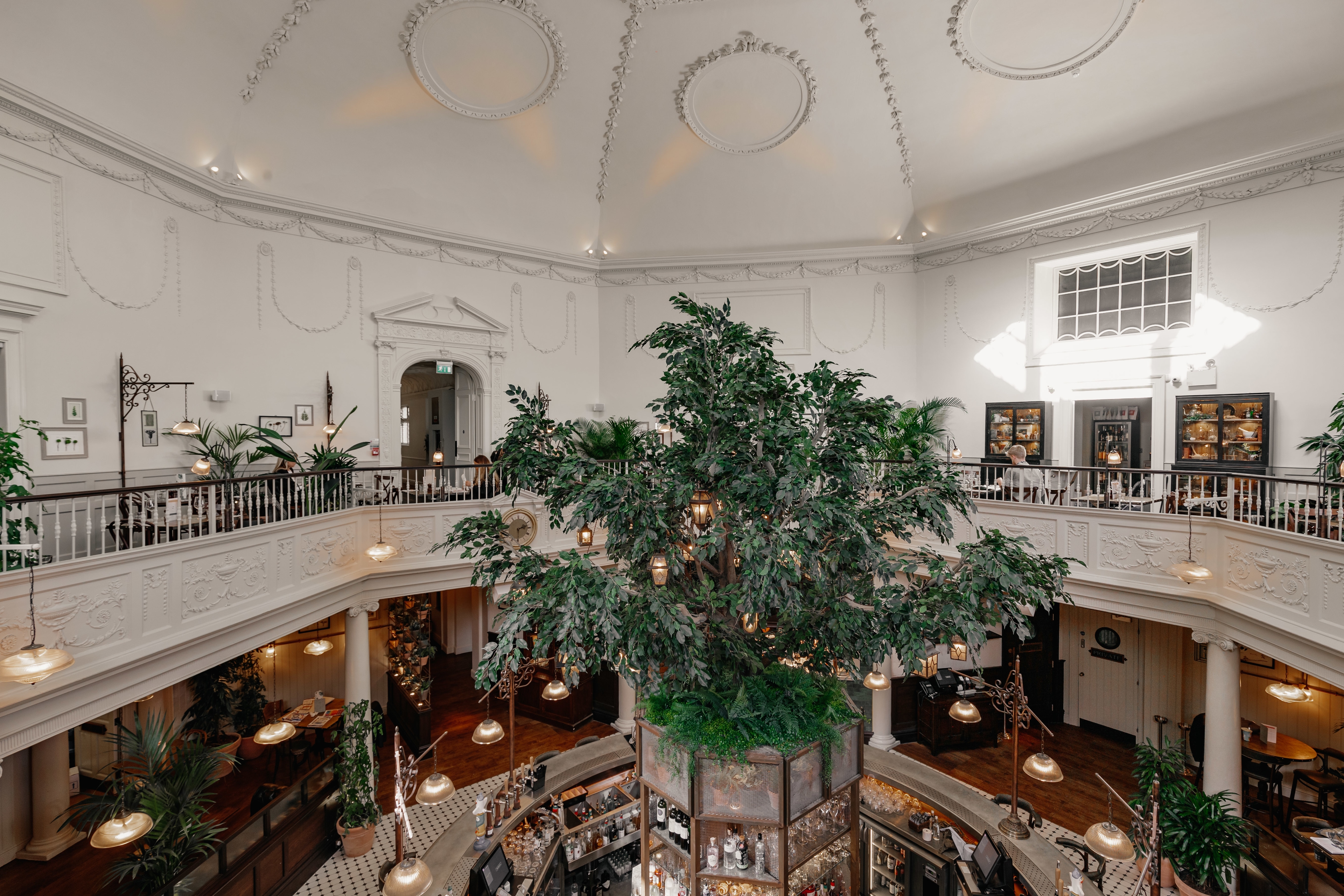 Photo of The Botanist Bath, Whole Venue
