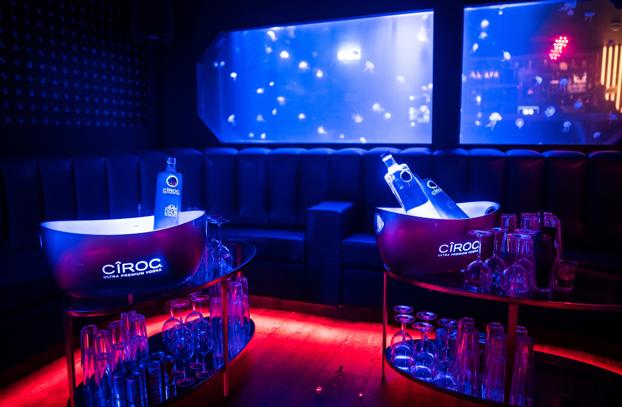 Photo of The London Reign, Main Club