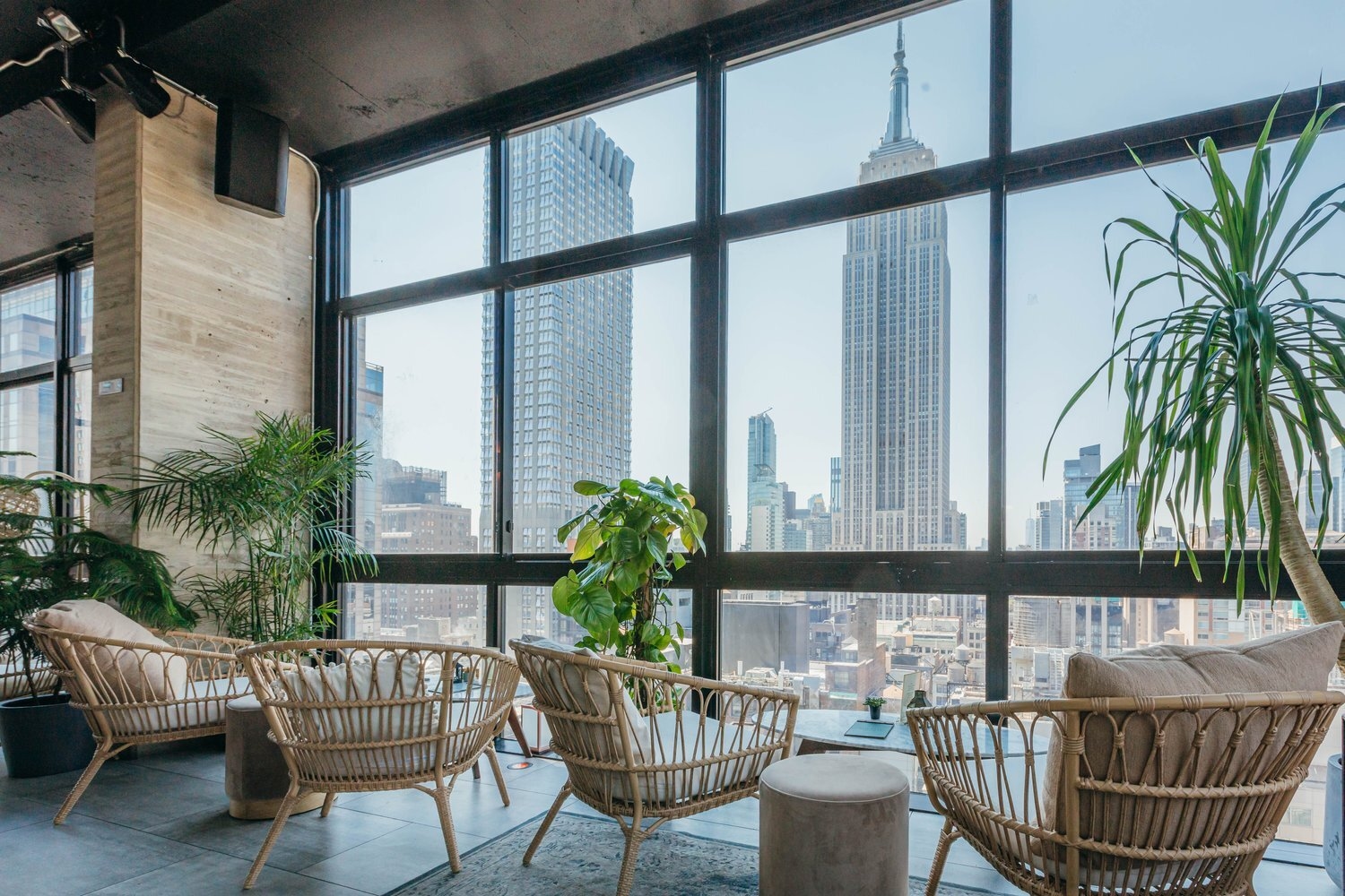 Photo of Daintree, Treetop Outdoor Terrace