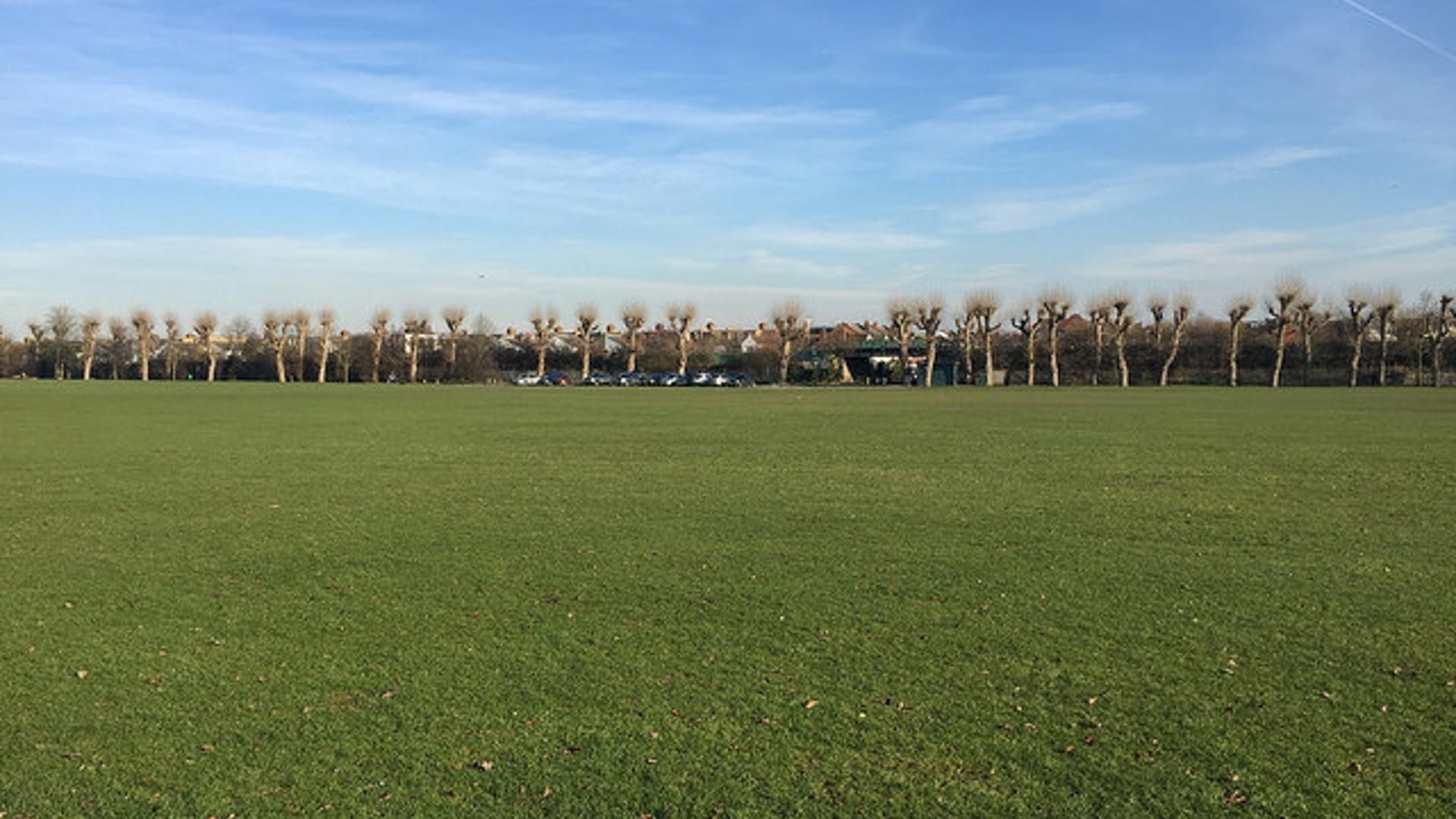 Photo of Wimbledon Park, Main Field