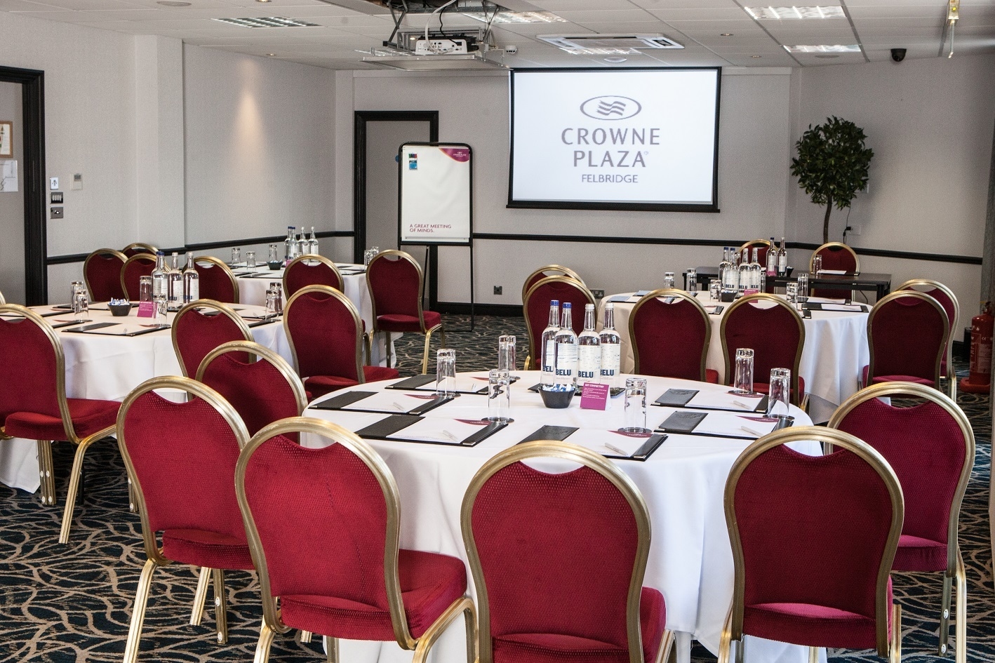 Photo of Crowne Plaza Felbridge-gatwick, Sycamore Suite
