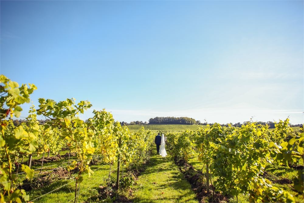 Photo of Denbies Wine Estate, The Denbies Suite