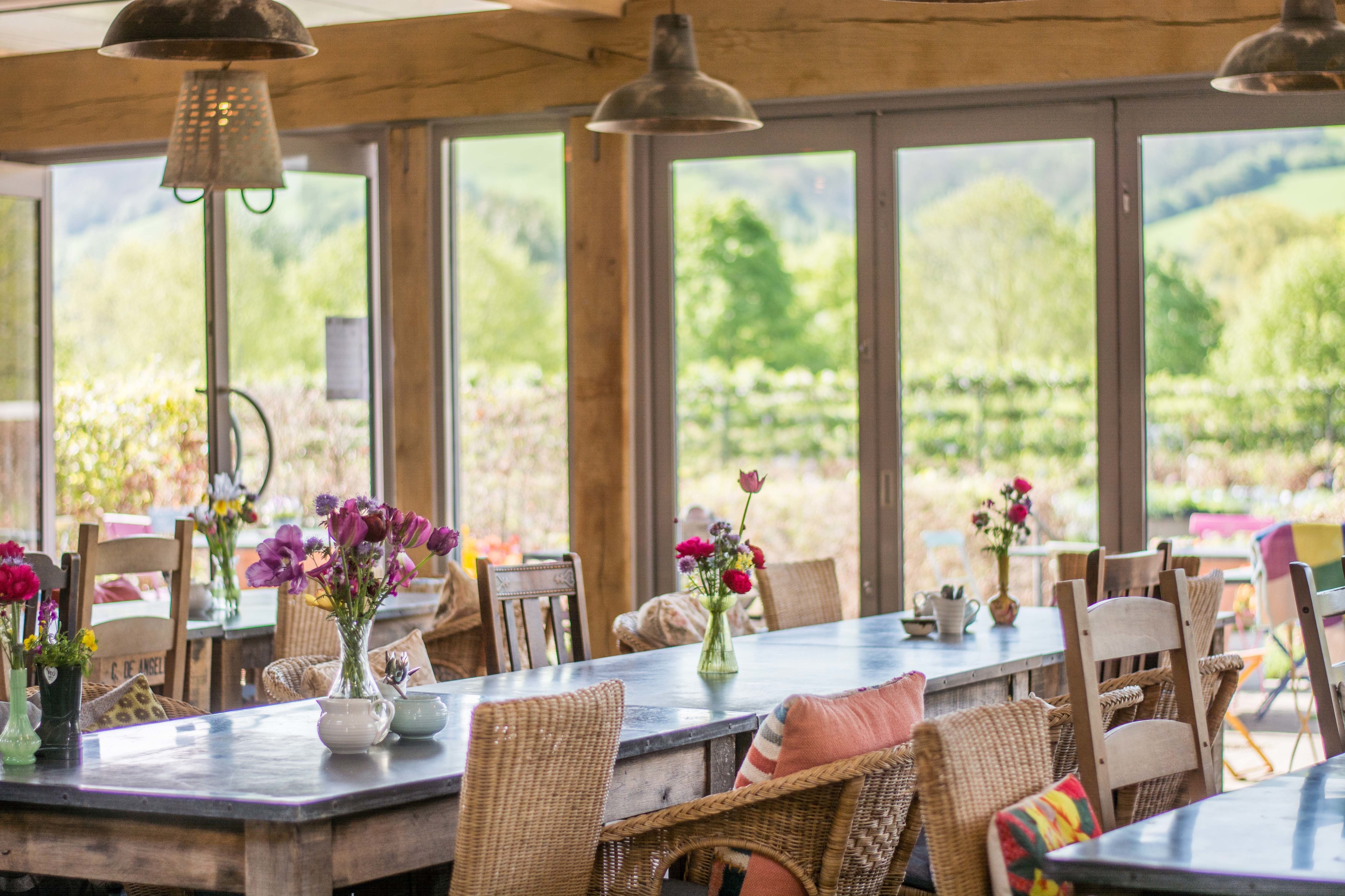 Photo of Yeo Valley, Garden Cafe