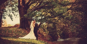 Photo of Eastington Park