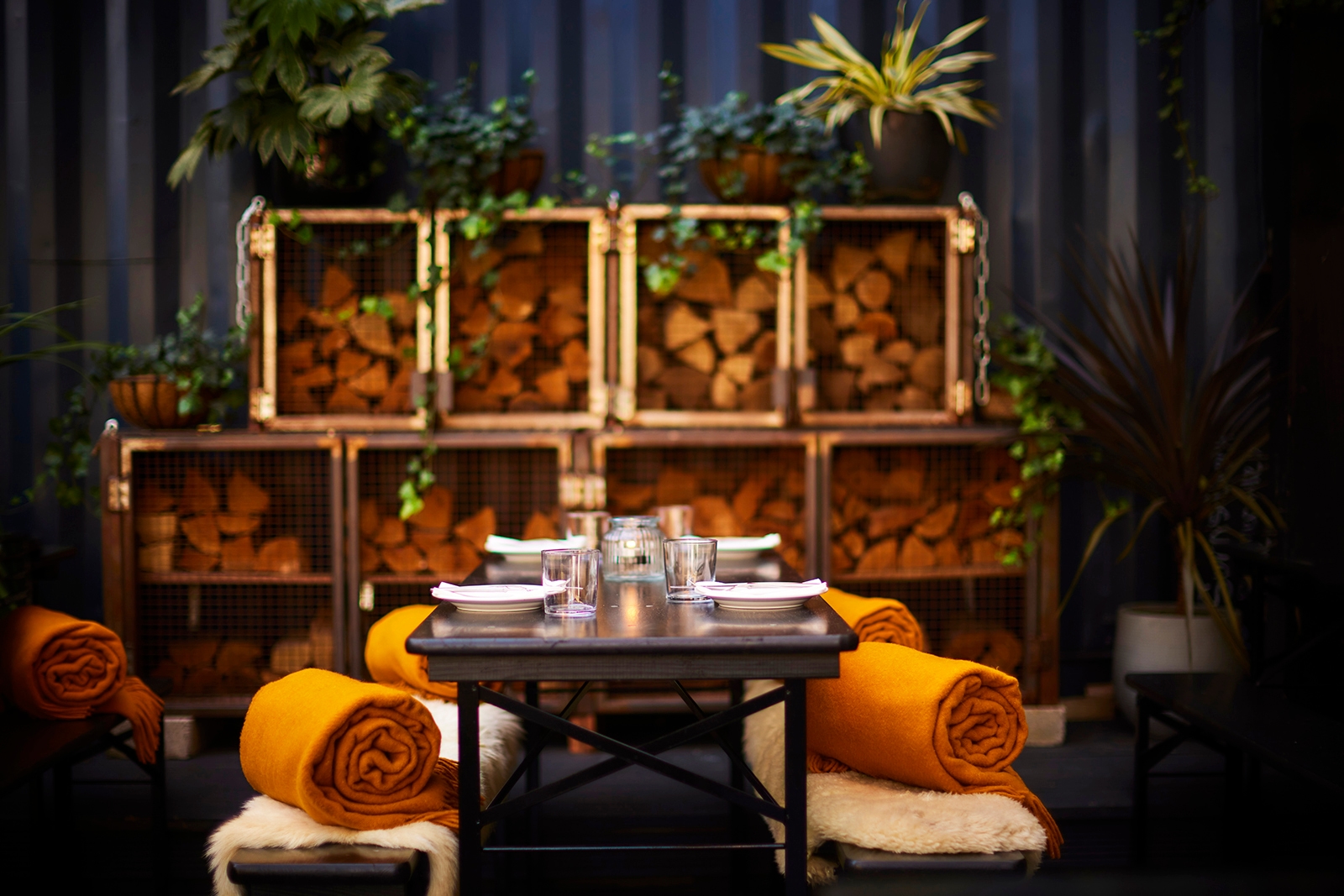 Photo of Acme Fire Cult, Whole Venue & Terrace