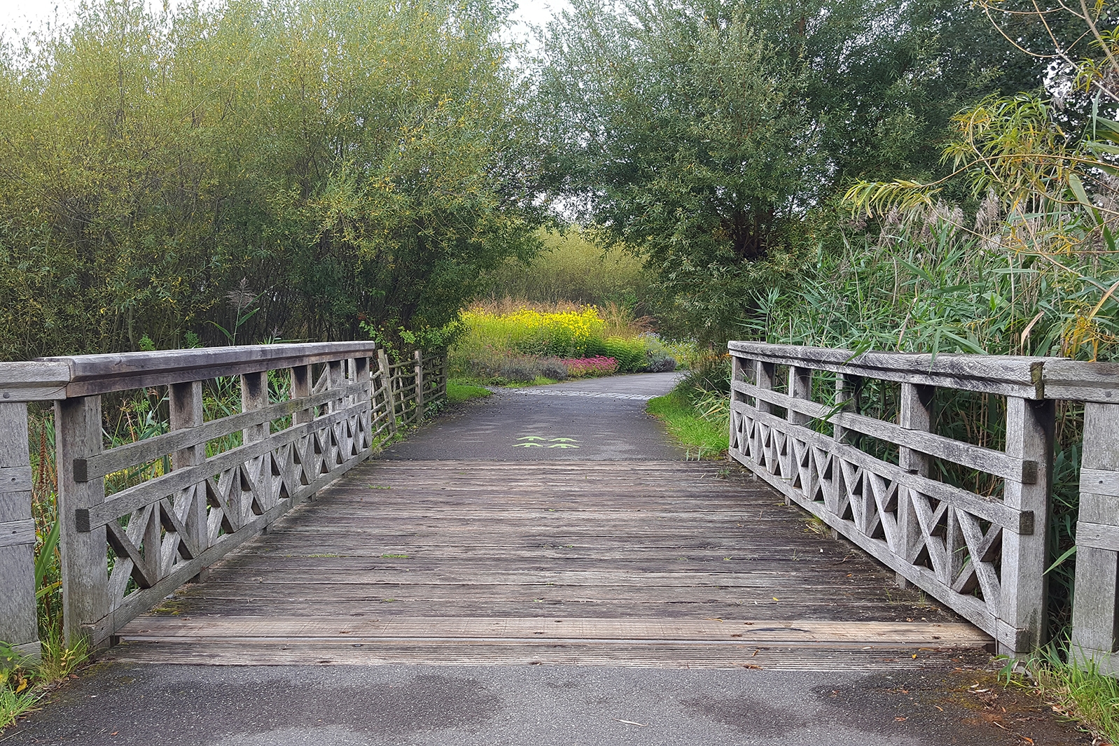 Photo of WWT London Wetland Centre