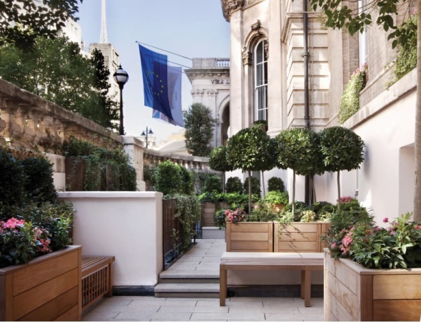 The Terrace Garden