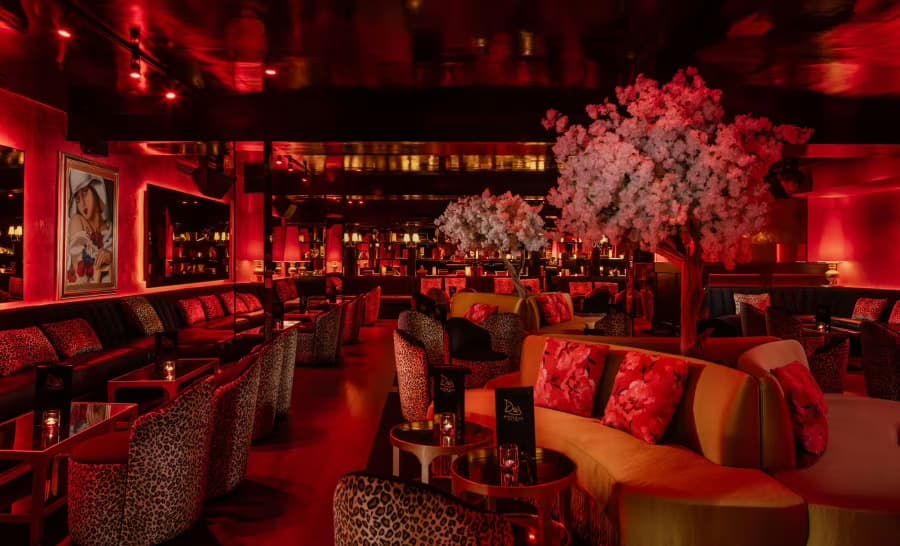 Main Floor, Drai's Supper Club photo #2
