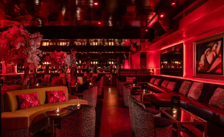Main Floor, Drai's Supper Club photo #3