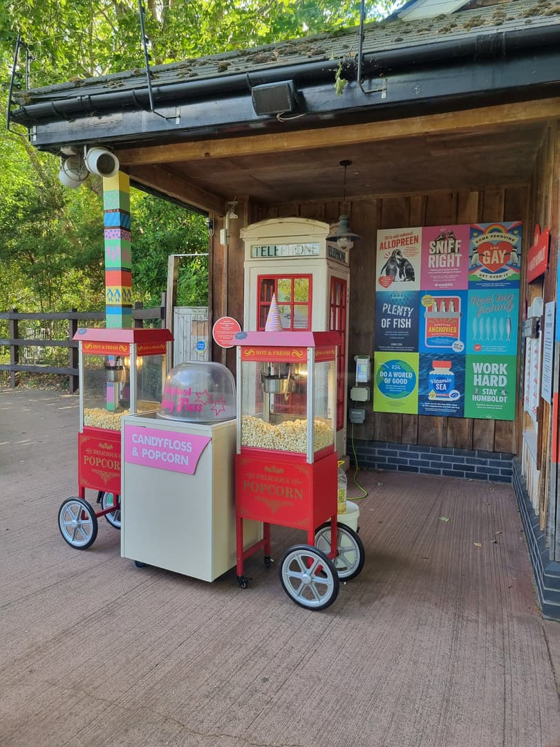 Summer Package 2026, Zsl London Zoo photo #6