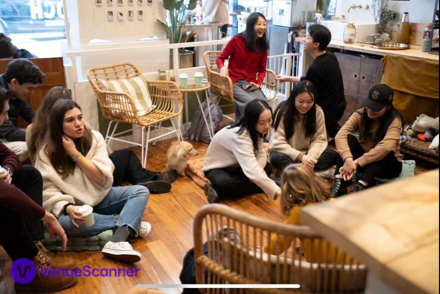 Cafe Area, Kings Dog Daycare photo #2