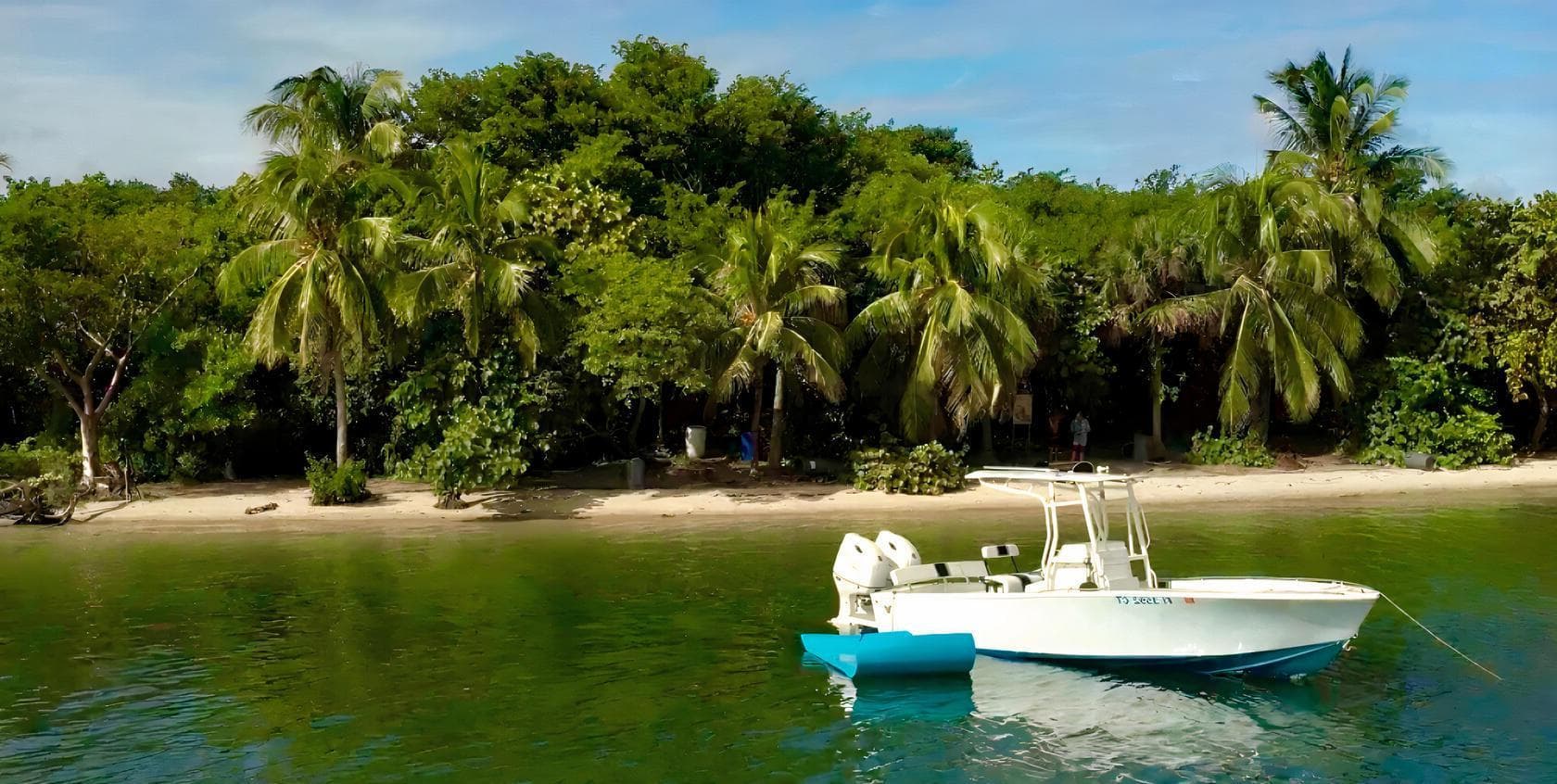 Entire Space, Thunderbird photo #1