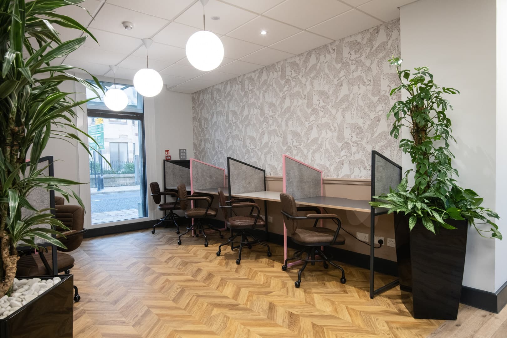 Harlow Suite, Wizu Workspace - Royal House photo #5
