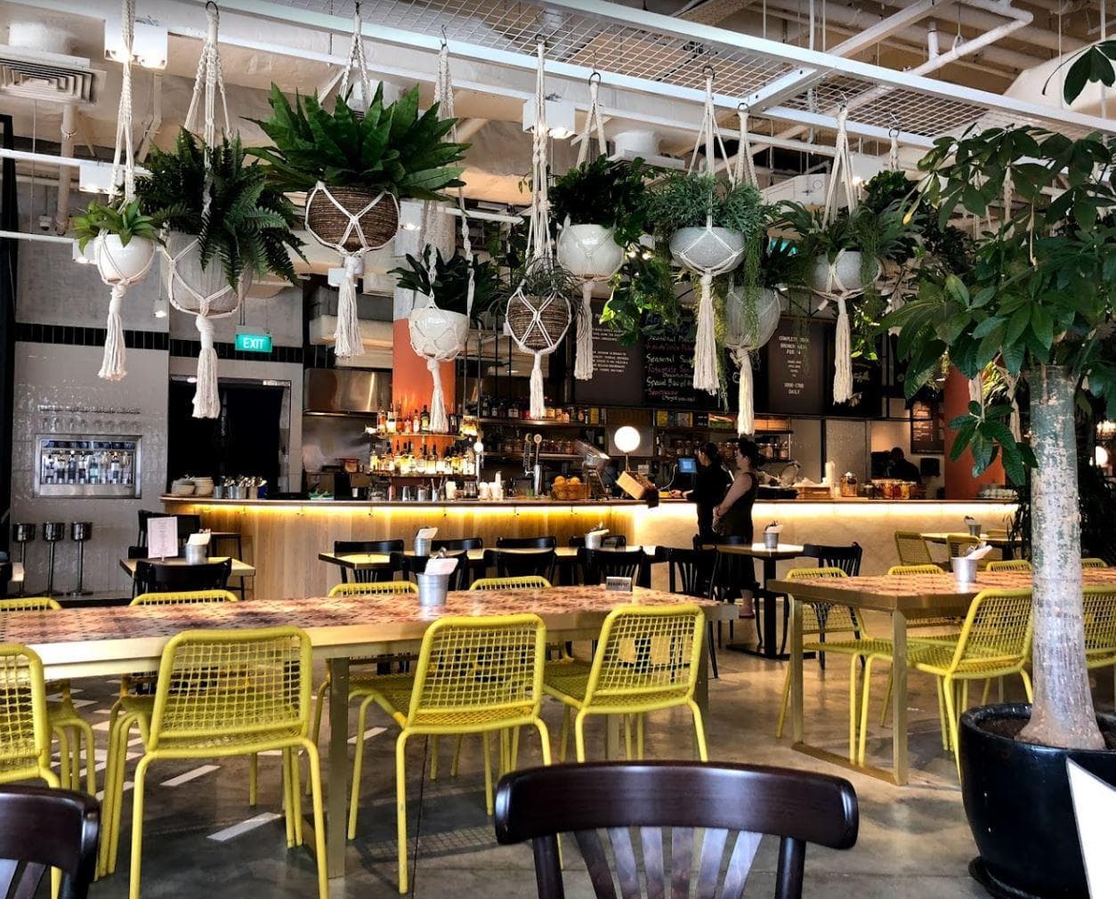 Exclusive Hire, Plentyfull photo #2