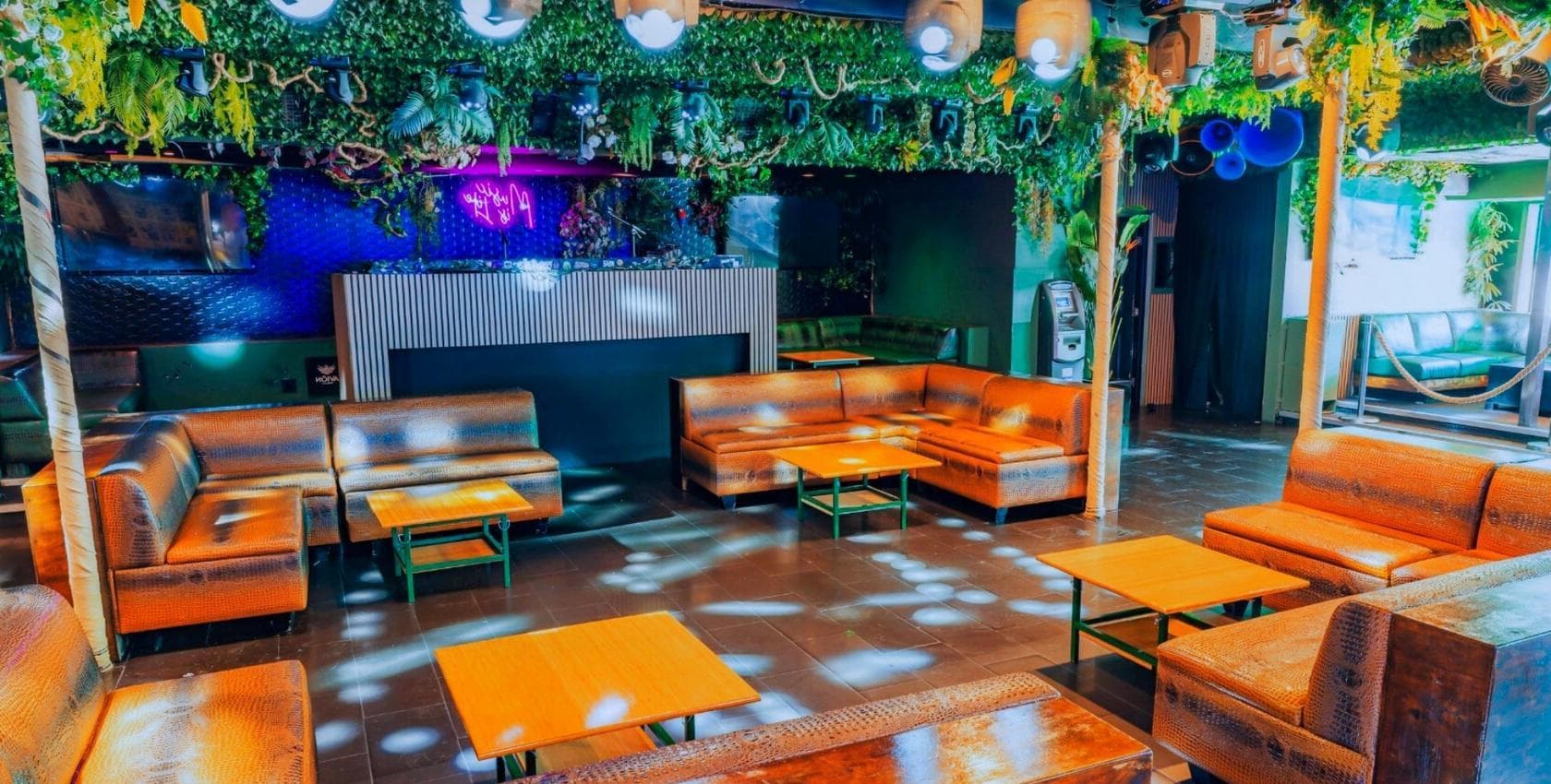 Photo of Jungle Hollywood