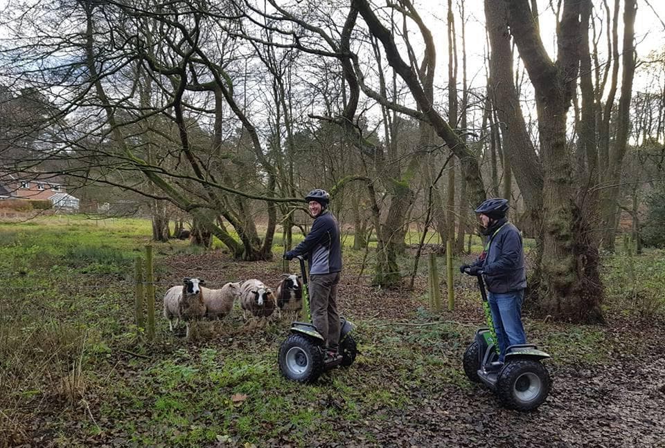 Forest Segway