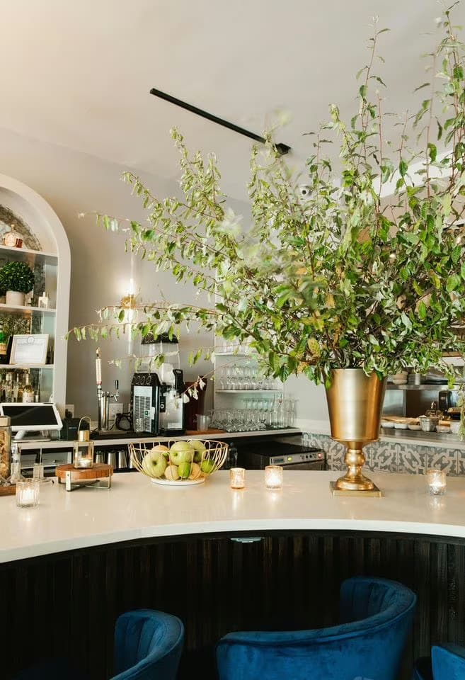 Festival Cafe NYC, Partial Buy Outs photo #2