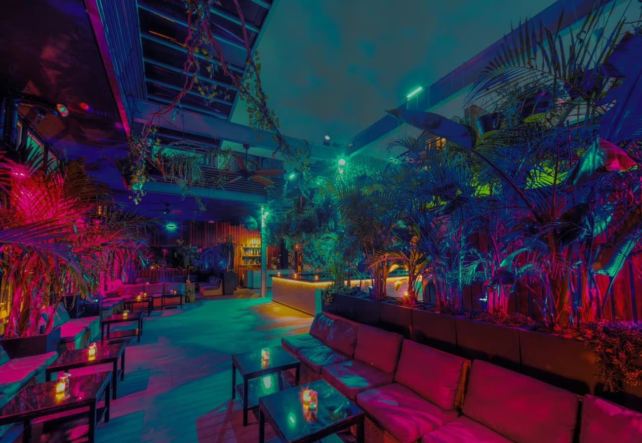 The Rooftop, The DL photo #14