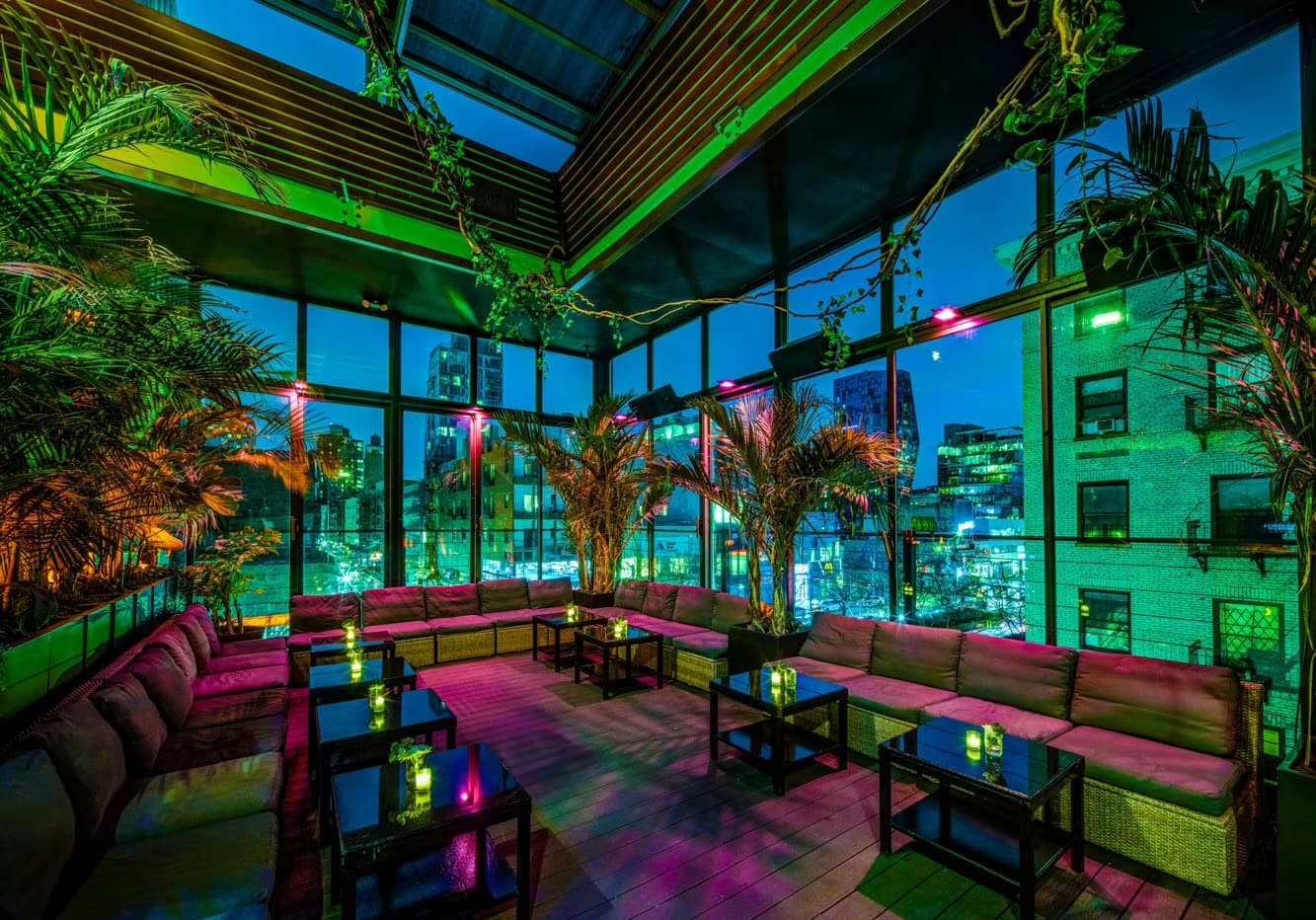 The Rooftop, The DL photo #18