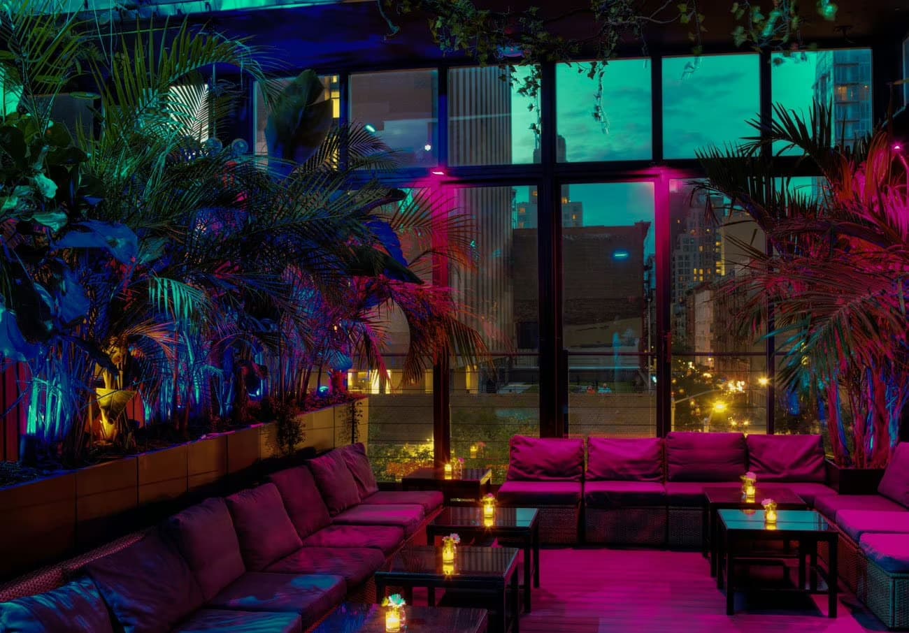 The Rooftop, The DL photo #4