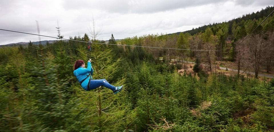 Zip Trekking Adventure, Go Ape Grizedale photo #2