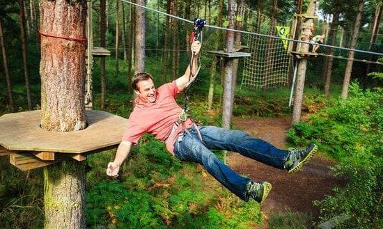 Treetop Challenge, Go Ape Grizedale photo #1