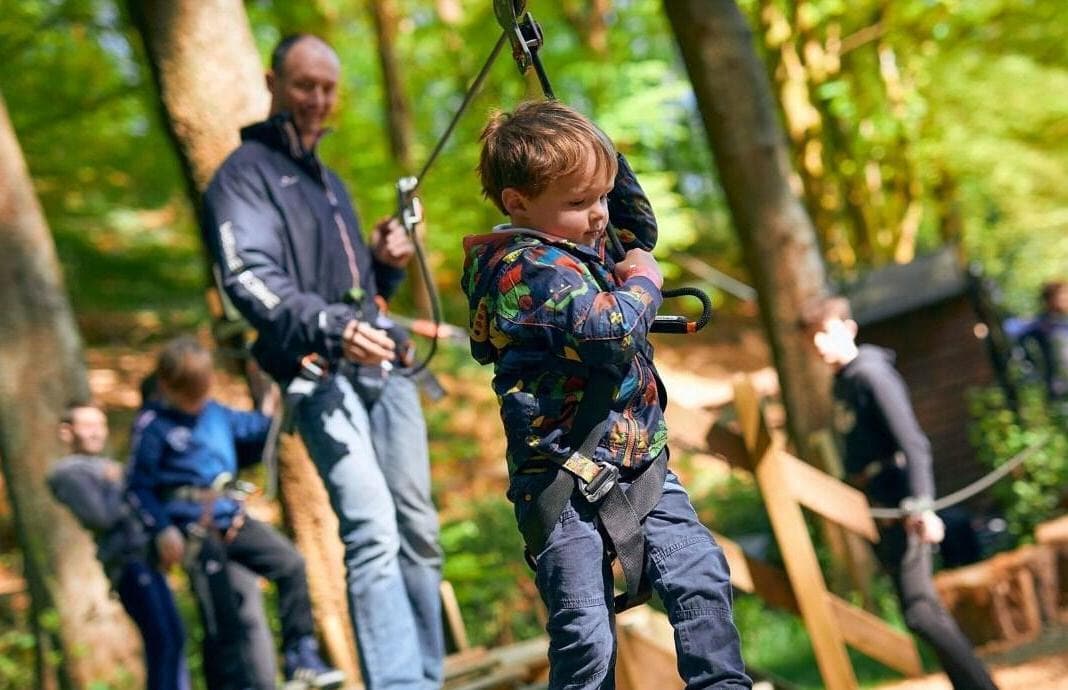 Treetop Adventure, Go Ape Grizedale photo #3